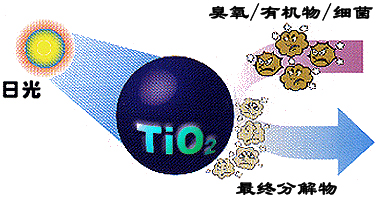 &#108;&#101;&#121;&#117;&#46;&#20048;&#40060;&#40;&#38598;&#22242;&#41;&#26234;&#33021;&#31185;&#25216;&#32929;&#20221;&#26377;&#38480;&#20844;&#21496;&#32593;&#31449;