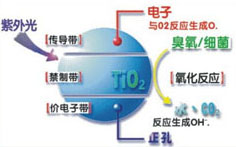 &#108;&#101;&#121;&#117;&#46;&#20048;&#40060;&#40;&#38598;&#22242;&#41;&#26234;&#33021;&#31185;&#25216;&#32929;&#20221;&#26377;&#38480;&#20844;&#21496;&#32593;&#31449;